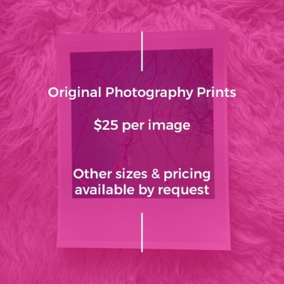 Hot Air Balloon Art Print Original Photography Professional Decor Wall Photo - Picture 4 of 4